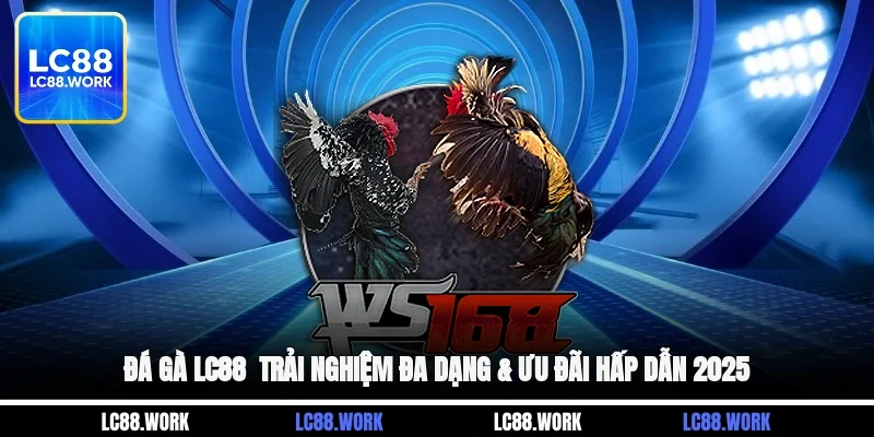 Đá Gà LC88 - Trải Nghiệm Đa Dạng & Ưu Đãi Hấp Dẫn 2025