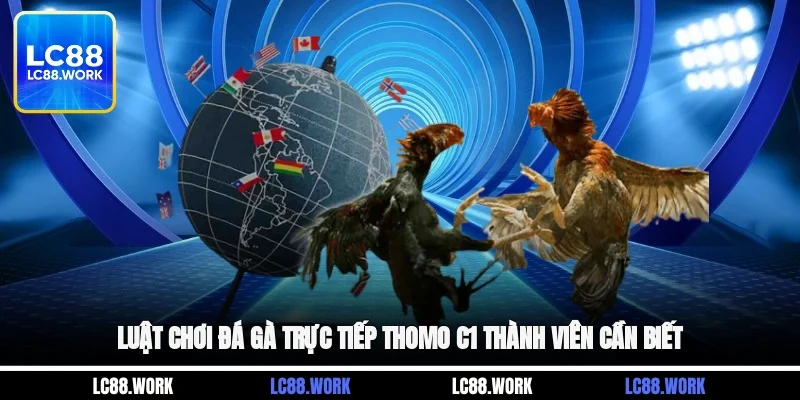 Luật chơi đá gà trực tiếp thomo C1 thành viên cần biết